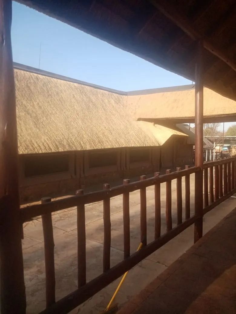 Underside of a thatched veranda roof